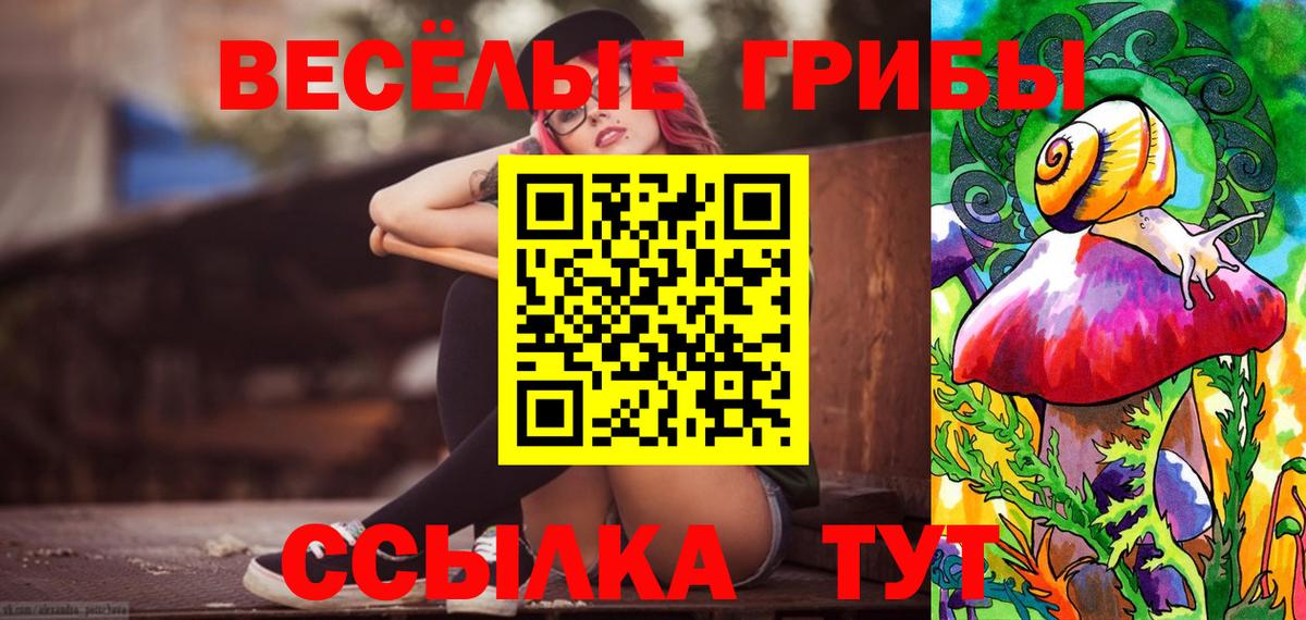 Галлюциногенные грибы Cubensis Лыткарино